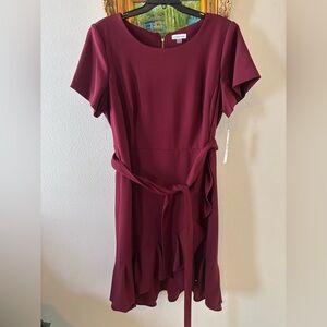 NWT Calvin Klein Burgundy Dress